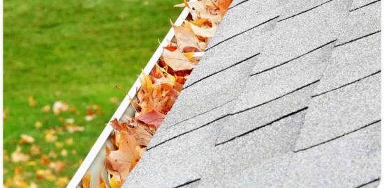 Close up of a shingle roof and gutter